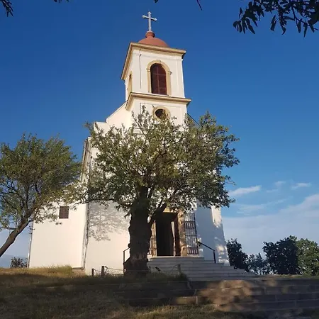 Koezponthoz Koezeli - Cool Tettye Daire