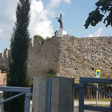 Koezponthoz Koezeli - Cool Tettye * Peçuy