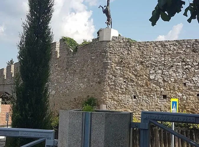 Koezponthoz Koezeli - Cool Tettye * 페치