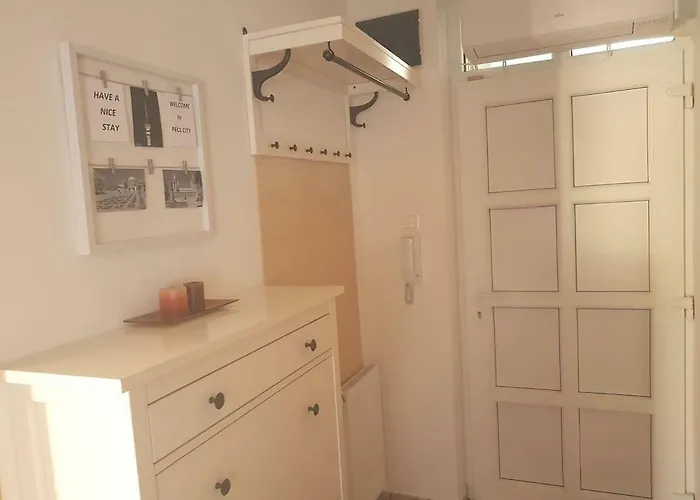 Koezponthoz Koezeli - Cool Tettye * 페치