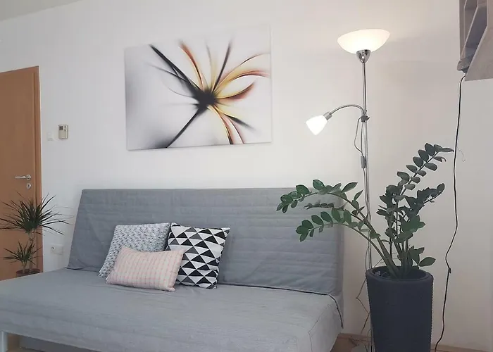 Koezponthoz Koezeli - Cool Tettye *